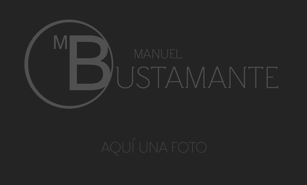 Manuel Bustamante